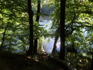 Přírodní park Jasmund