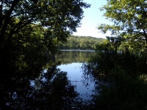 Přírodní park Jasmund