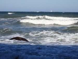 Přírodní park Jasmund