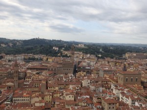 Vyhlídka na Florencii